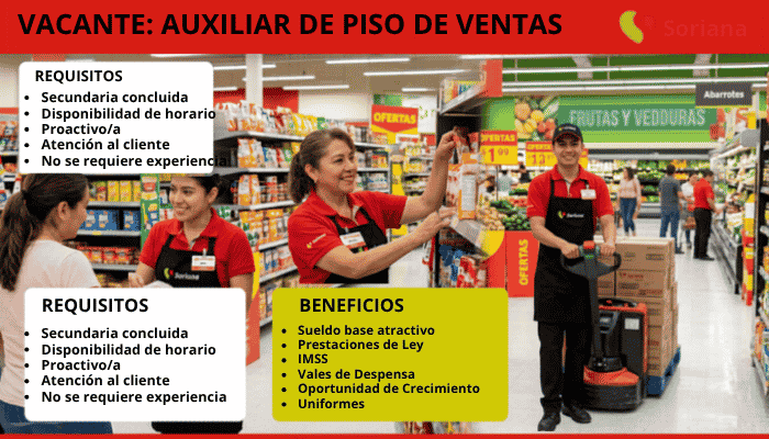 Auxiliar De Piso De Ventas